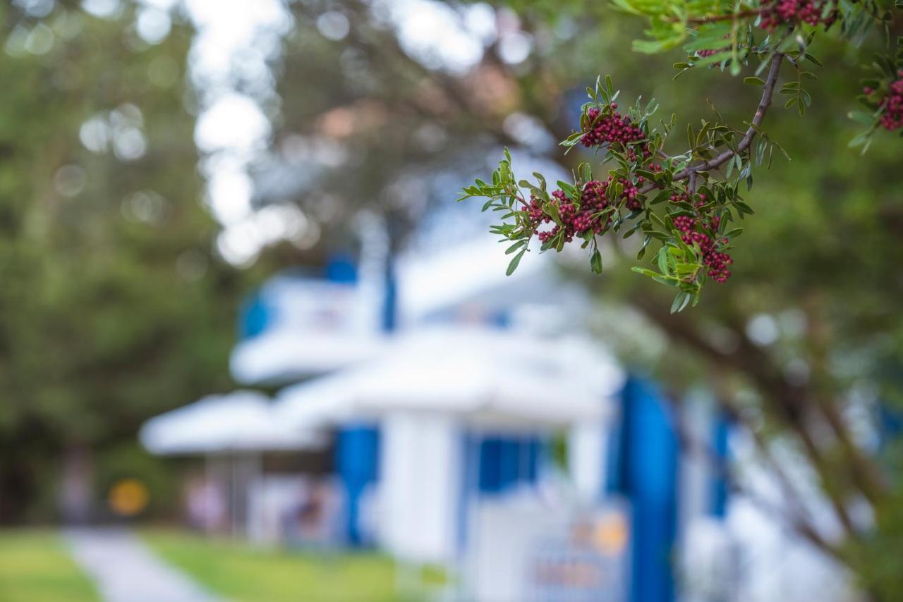 Nymphs Rooms & Apartments Никиана Экстерьер фото